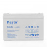 Аккумуляторная батарея Neata NT 12-100 купить в Ярославле